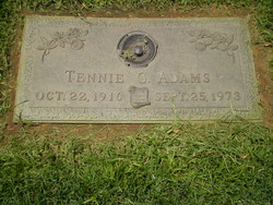 Tennie Gertrude <I>Jenkins</I> Adams 
