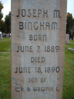 Joseph M Bingham 