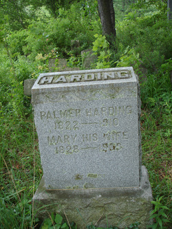 Palmer Harding 