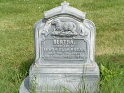 Bertha Shear 
