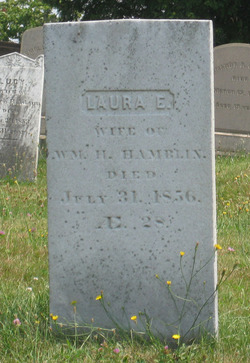 Laura E Hamblin 