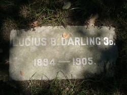 Lucius Bowles Darling III