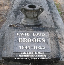 David Louis Brooks 