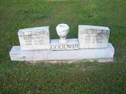 Elizabeth G. <I>Letson</I> Goodwin 