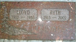 Lloyd Raymond Goodwin 