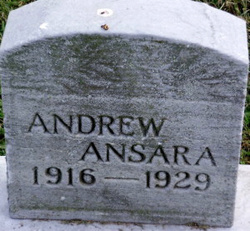 Andrew Ansara 