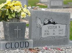 Annie Silvester “Vester” <I>Nowell</I> Cloud 