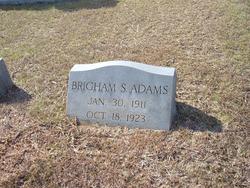 Brigham Sheffield Adams 