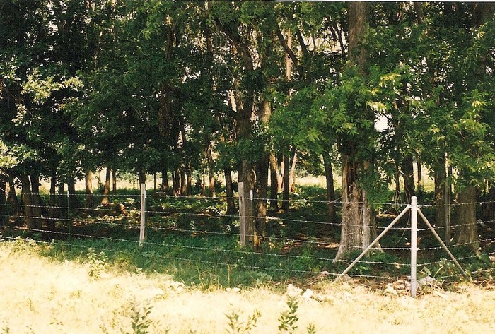 Fox-Langford Cemetery