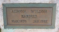 Almon Wilson Barnes 
