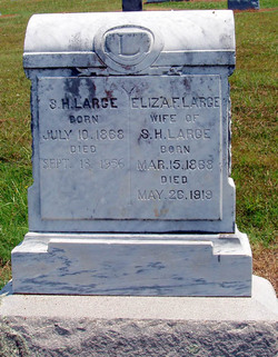 Eliza Frances <I>Wood</I> Large 