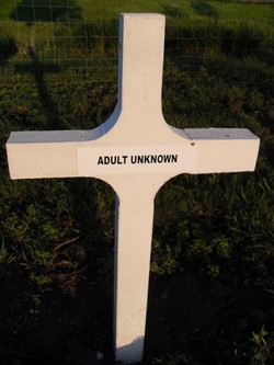 Adult Unknown 