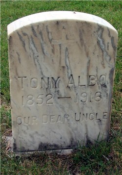 Tony Albo 