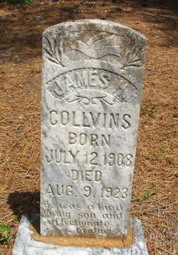 James H Collvins 