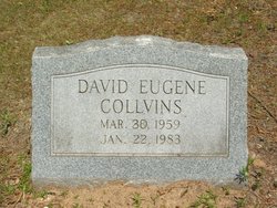 David Eugene Collvins 