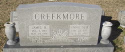 Annie Mae <I>Wilkins</I> Creekmore 