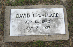 David L Wallace 