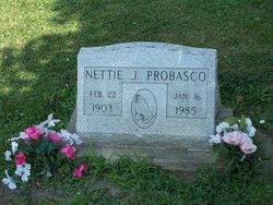 Nettie Jane <I>Fink</I> Probasco 