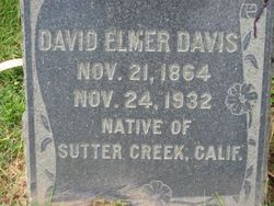 David Elmer Davis 