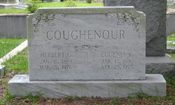 Eugenia Elizabeth <I>King</I> Coughenour 
