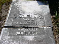 Cathrine Elizabeth <I>Smith</I> Anderson 
