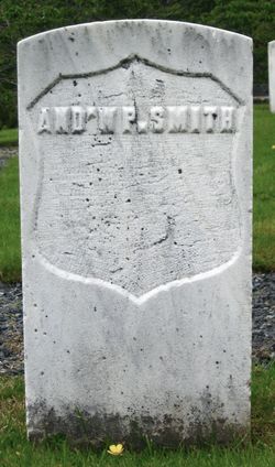 Andrew P Smith 