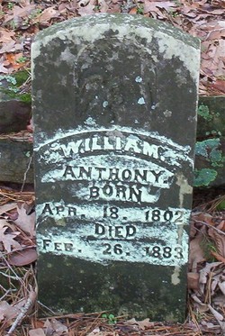 William Jackson Anthony 