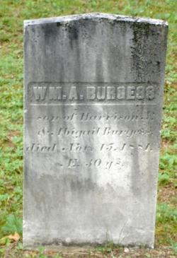 William A Burgess 