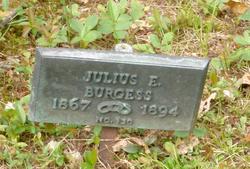 Julius E Burgess I