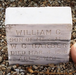 William Chancey Barber Jr.