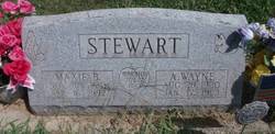 Alfred Wayne Stewart 