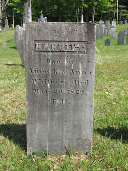 Harriet Whitney 