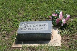 Baby Caton 