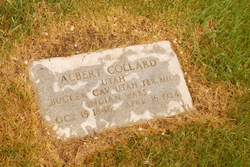 Albert Collard 
