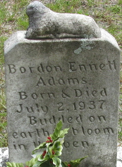 Bordon Ennett Adams 