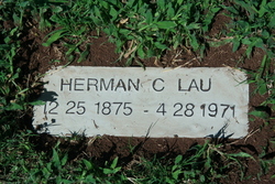Herman Carl Lau 