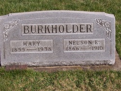 Nelson E Burkholder 
