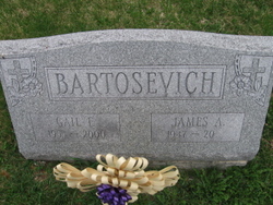 James A Bartosevich 