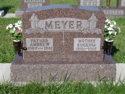 Andrew John Meyer 