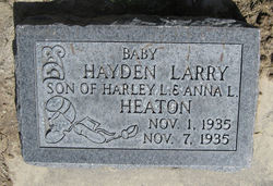 Hayden Larry Heaton 