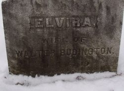 Elvira <I>Ford</I> Budington 