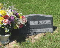Cecilia Ayala 