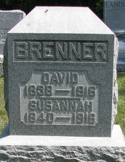 David Brenner 
