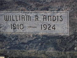 William R Andis 