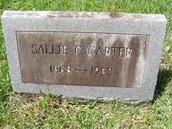 Sarah Catherine “Sallie” <I>Sumner</I> Carter 