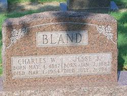 Jesse James Bland 