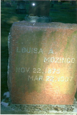 Louisa A. Mozinco 
