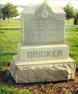 Henry Bricker 