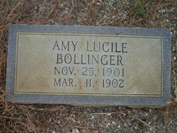 Amy Lucile Bollinger 