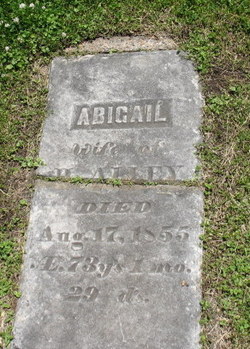 Abigail Alley 
